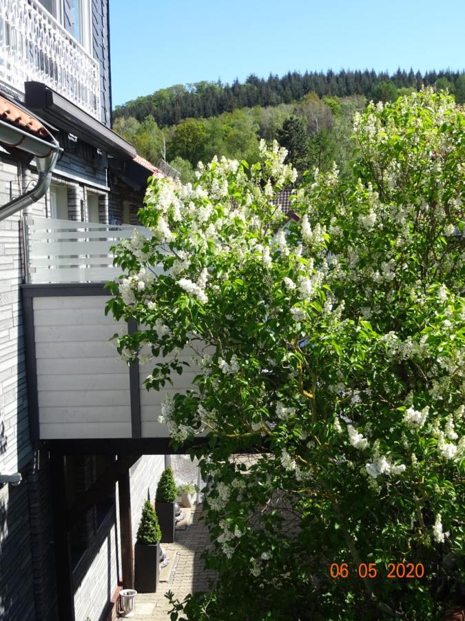 Fewo Hage Langelsheim Exterior photo
