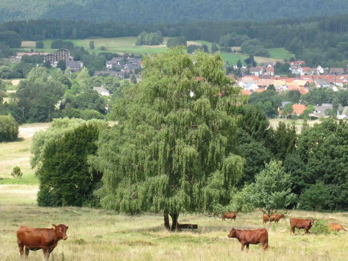 Fewo Hage Langelsheim Exterior photo